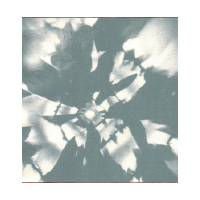 015.png